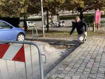 Il parcheggio del complesso Marco Polo, Dondolini (FdI): "Un disastro" - lagazzettadiviareggio.it