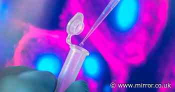 'The injection of stem cells helps dangerously ill coronavirus patients' - Mirror.co.uk