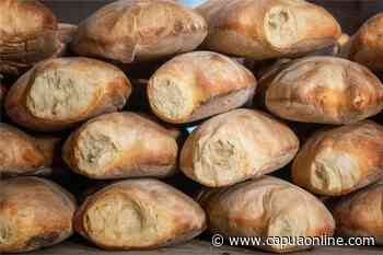 Capua. C'è Pane per Tutti….L'Associazione Capuaonline.com dona il pane a chi ne ha bisogno. Seconda edizione. - Capuaonline.com