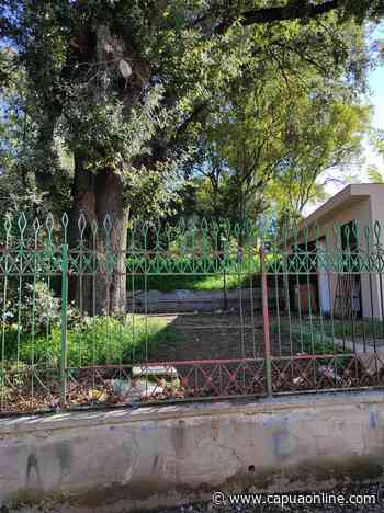 Capua. Tutta la nullità amministrativa capuana racchiusa nell'immagine di chiusura della villa comunale. - Capuaonline.com