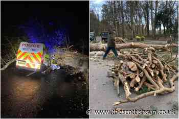 Scotland weather LIVE: Scots driver crushed to death by fallen tree as 90mph winds causes night of chaos... - The Scottish Sun