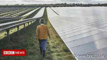 More work needed to create green jobs, report says