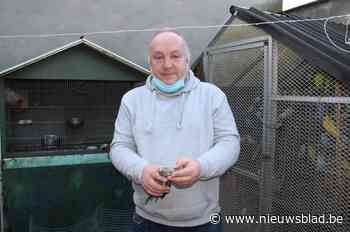 Henk roept buren op om vallen te zetten tegen rattenplaag: “Maar strooi zeker geen vergif, want dan gaan onze huisdieren eraan”