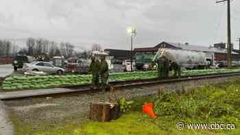 Officials urge vigilance as southwest B.C. endures more storm activity