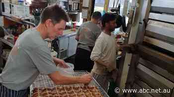 Businesses desperately needing skilled workers hope Omicron doesn't make things worse