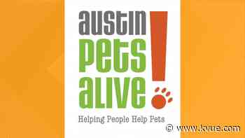 Austin Pets Alive! waives adoption fees this weekend - KVUE.com
