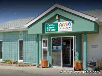 Saskatoon SPCA Auxiliary Set to Host an Open House - CJWW