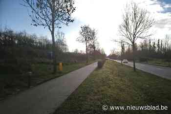 Omleiding voor fietsers op N754 en N79 in Borgloon