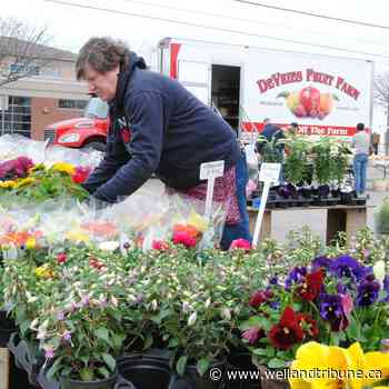Port Colborne Farmers' Market looks for feedback as 2021 season ends - WellandTribune.ca