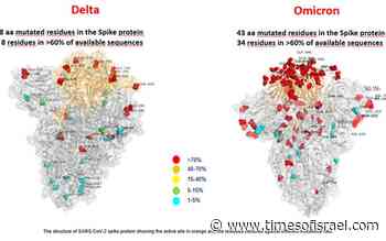 First image of Omicron shows many more mutations than Delta - The Times of Israel