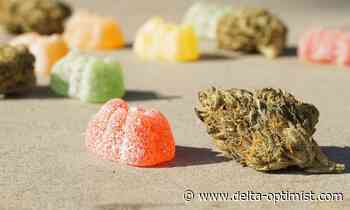 Delta could soon have six cannabis stores - Delta-Optimist