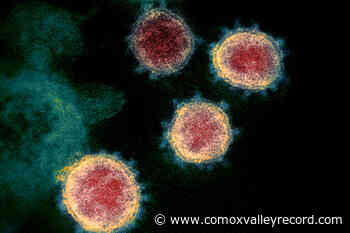 Canada’s first 2 cases of Omicron COVID variant detected in Ontario - Comox Valley Record