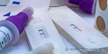 Bad Belzig: Diebe klauen Schnelltests aus Kita - Märkische Allgemeine Zeitung