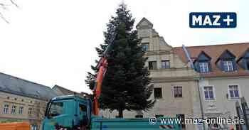 Bad Belzig: Weihnachtsbaum auf dem Marktplatz steht - Märkische Allgemeine Zeitung