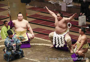 Sumo in Japan - Neuer Botschafter eines alten Sports - Deutschlandfunk