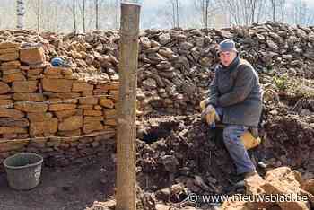 Vandalen breken beschermde wijngaardmuur af en vernielen zo in één nacht werk van zes jaar