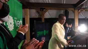 Former Green party councillor sues members of party watchdog committee for defamation