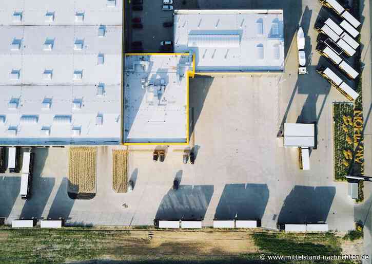 Kupplungskauf: Was Sie vor dem Kauf der Kupplung wissen sollten