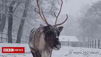 Storm Arwen: Snow and falling trees disrupt West Midlands rail services