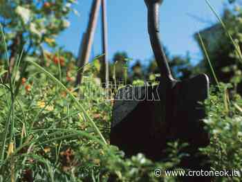 Confagricoltura Crotone: "Subito la proroga delle rottamazioni" - CrotoneOK.it