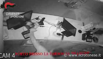 Arrestato dai carabinieri l'autore dei furti nel centro di Crotone (video) - Il Crotonese
