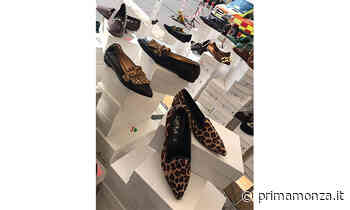 L'originale Consorzio de "Gli Ambulanti di Forte dei Marmi®" ad Arcore sabato 4 dicembre - Prima Monza