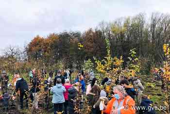 Geboortebos Nieuwmoer groeit aan met 330 bomen (Kalmthout) - Gazet van Antwerpen Mobile - Gazet van Antwerpen