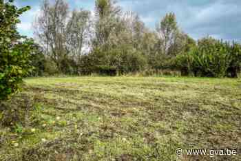 Niels Broek krijgt allure van bos (Niel) - Gazet van Antwerpen Mobile - Gazet van Antwerpen