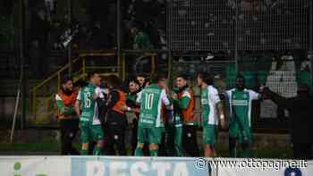 Avellino, testa al Bari. Amodio: "I lupi verranno fuori alla distanza" - Ottopagine