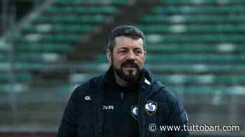 Campilongo: "Bari molto continuo. Paragone Ternana? Squadre diverse" - BARI CALCIO