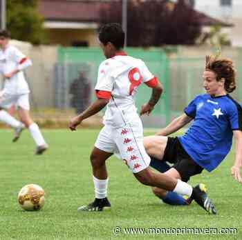 Primavera 3, Bari-Foggia: risultato, cronaca e tabellino - Mondoprimavera
