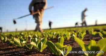 Agricoltura, caporalato a Cuneo: due arresti in una cooperativa - dissapore