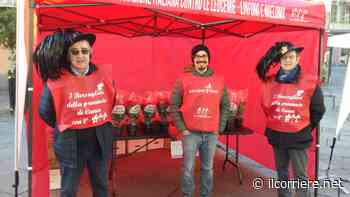 Le Stelle di Natale e i Sogni di Cioccolato Ail Cuneo tornano nelle piazze della provincia - https://ilcorriere.net/