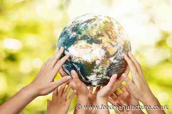 What has the food industry achieved on sustainability?