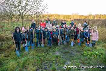 Leerlingen Onze Lieve Vrouwschool planten eigen bos aan in Rhodesgoed