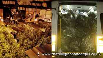 Cannabis farm estimated to be worth £1million found in Wyke