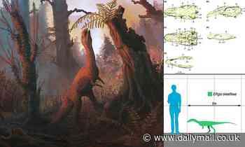Fossils: Ostrich-like creature that lived in North America 205 million years ago was a NIBBLER