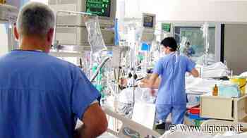 Virus sinciziale, allarme a Lecco: 15 bambini ricoverati per bronchiolite - Il Giorno