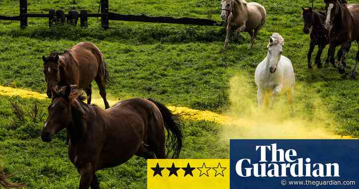 Suzanne Lacy: What Kind of City? review – art that breaks down borders