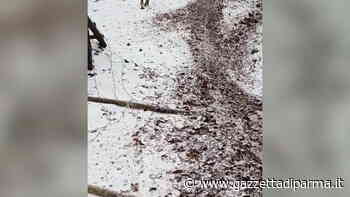 Sentieri danneggiati dalle moto, nuove polemiche: la video-testimonianza - Gazzetta di Parma