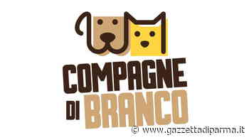 Pericoli canini - Gazzetta di Parma