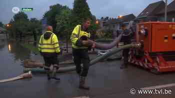 De Velpe treedt buiten zijn oevers in Halen - TV Limburg