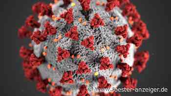 Corona im Kreis Soest: Chefin des Gesundheitsamtes gibt düstere Prognose ab - Soester Anzeiger