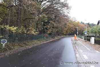 Essen investeert twee miljoen euro in ledverlichting: “100.000 kg minder Co2 tegen 2024”