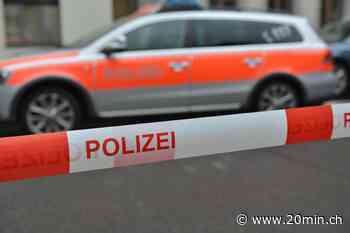 Zerbrochene Scheiben – Basler Chaoten attackieren Polizeifahrzeug mit Steinen - 20 Minuten