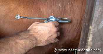 AABP develops cattle vaccination guidelines for members