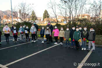 Alunni Prato Sesia mettono a dimora gli "alberi del miele": le foto - Notizia Oggi Borgosesia - Notizia Oggi Borgosesia -