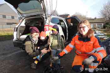 Ouders planten geboorteboom in eigen tuin (Wuustwezel) - Gazet van Antwerpen Mobile - Gazet van Antwerpen