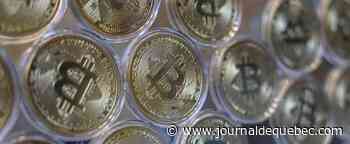 La cryptomonnaie Omicron s'envole avec le nouveau variant du coronavirus