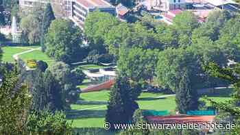 Kommt das Großbauprojekt?: Bad Herrenalber Gemeinderat berät erneut über Schweizer Wiese